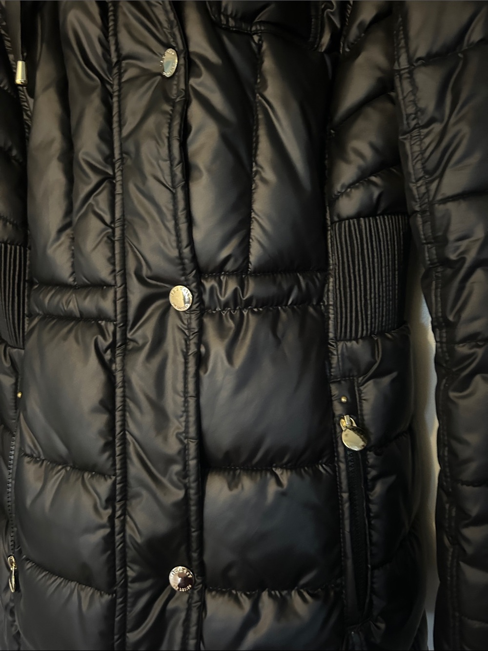 Laundry by Design Coat - Picture 4 of 8